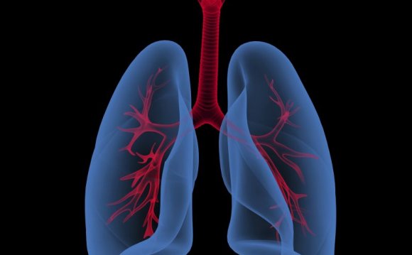 Asthma Phenotypes in Asthma: A