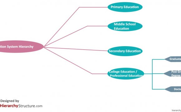 Education System Hierarchy