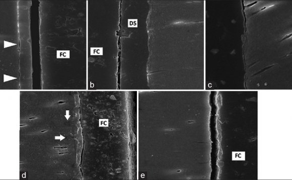 Figure 3: Representative