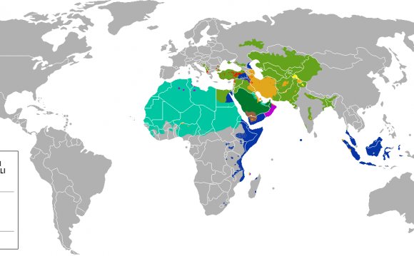 Distribution of the four