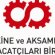 Ali R. Yildiz Bursa Technical University Turkey