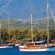 Turkey Summer