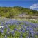 Valley, Texas