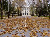 University of Istanbul