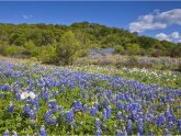 Valley, Texas